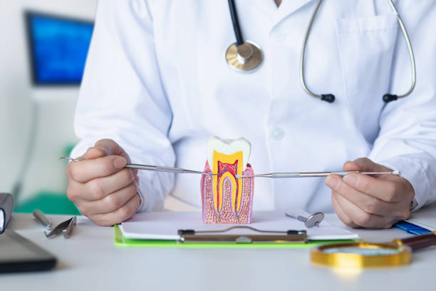 Best Urgent Care for Lost Fillings or Crowns in Evans, GA